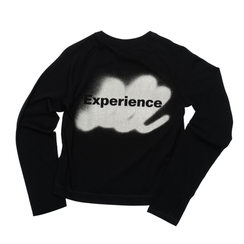 Experience LS